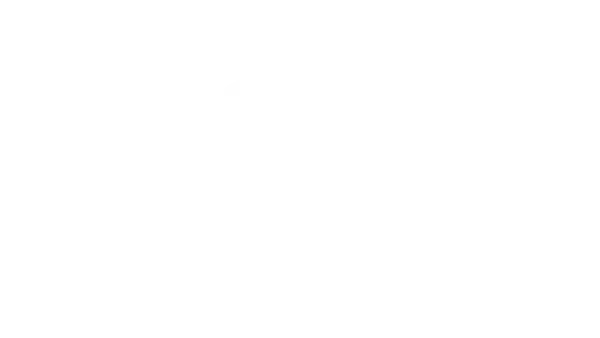 Selective Artists